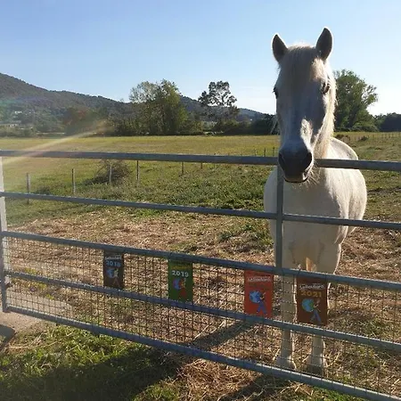 Ferme De Chiuni Lantgård