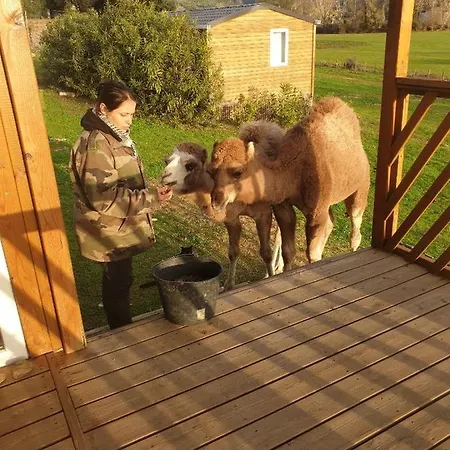 Ferme De Chiuni Vakantieboerderij