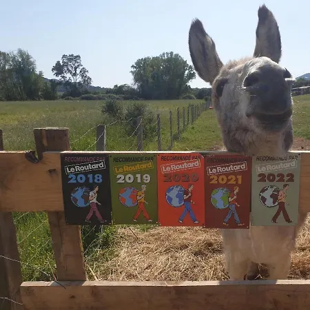 Vakantieboerderij Ferme De Chiuni