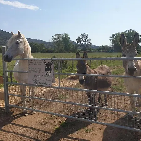 Vakantieboerderij Ferme De Chiuni Cargèse