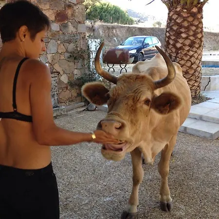 Lantgård Ferme De Chiuni