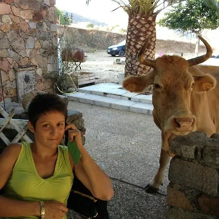 Vakantieboerderij Ferme De Chiuni Cargèse