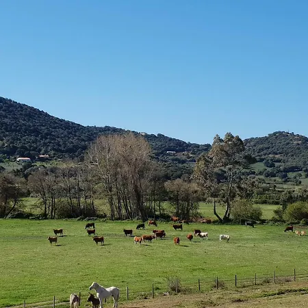 Ferme De Chiuni Vakantieboerderij *