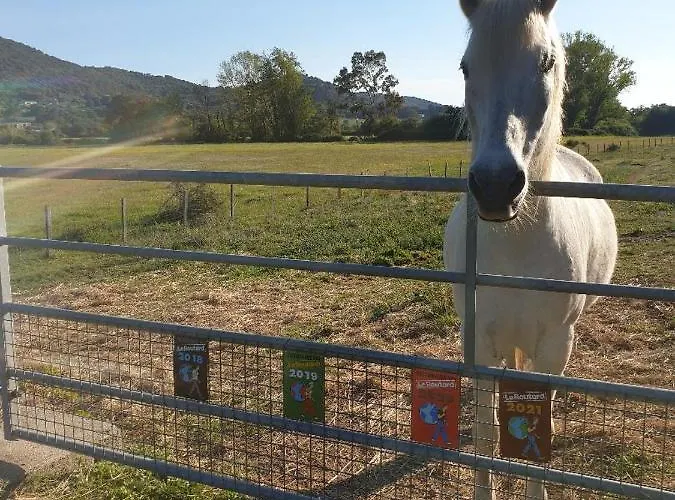 Ferme De Chiuni Bauernhof
