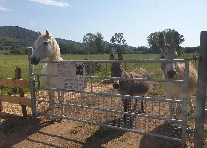 Bauernhof Ferme De Chiuni Cargèse
