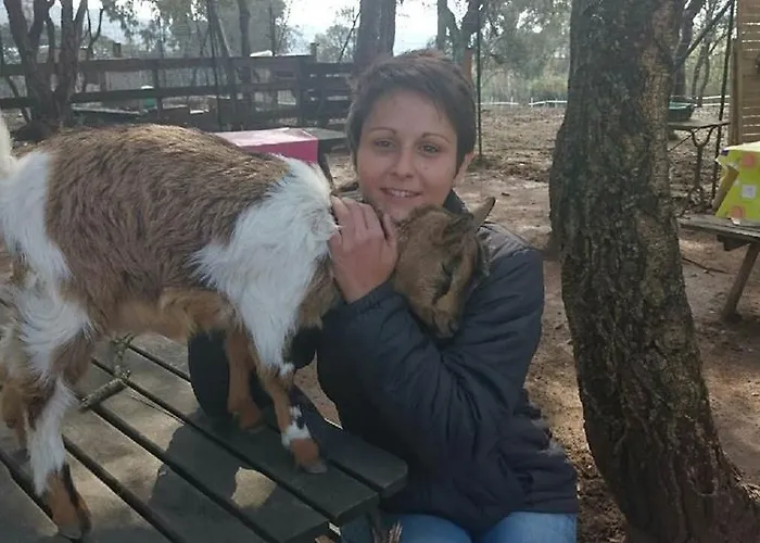 Ferme De Chiuni Bauernhof *