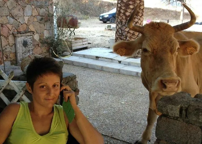 Bauernhof Ferme De Chiuni Cargèse