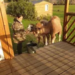 Ferme De Chiuni 农家乐