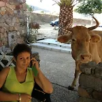 Farm stay Ferme De Chiuni Cargese