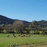 Ferme De Chiuni Farm stay *