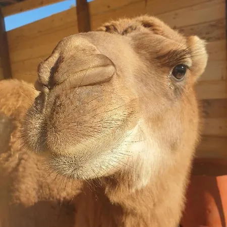 Ferme De Chiuni Cargèse