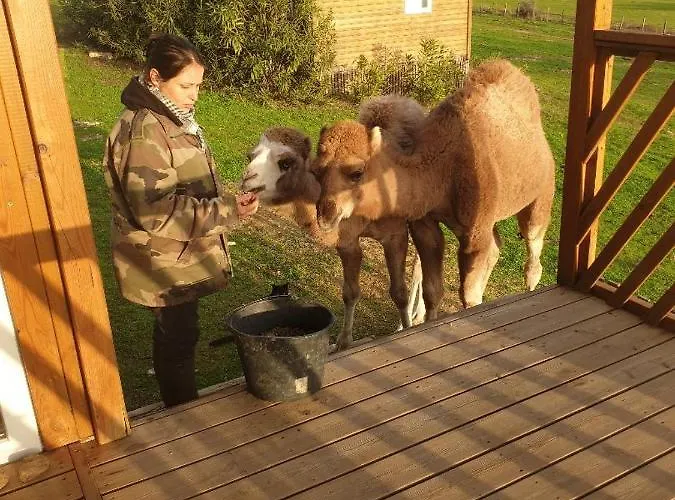 Ferme De Chiuni Фермерский дом