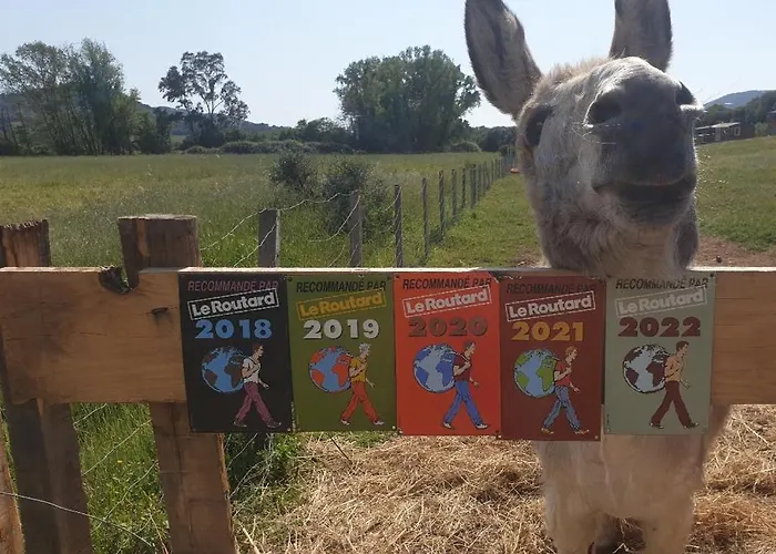 ファームステイ Ferme De Chiuni