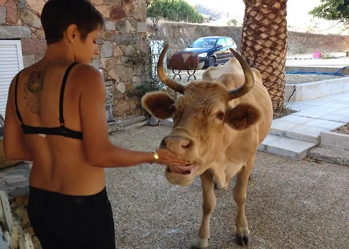 ファームステイ Ferme De Chiuni