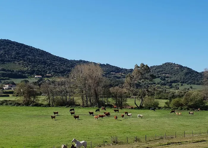 Ferme De Chiuni مزرعة للإقامة *