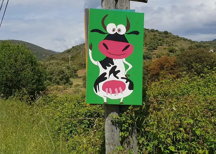 Ferme De Chiuni * Каржез